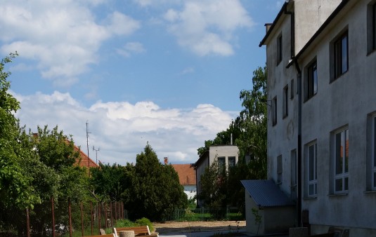 Terénne a sadové úpravy