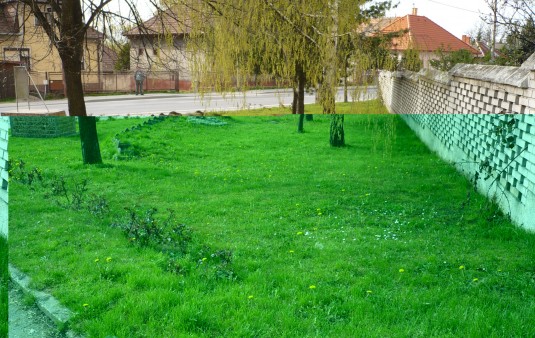 Terénne a sadové úpravy