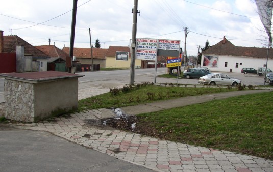 Terénne a sadové úpravy