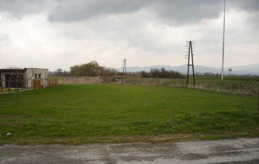 Terénne a sadové úpravy